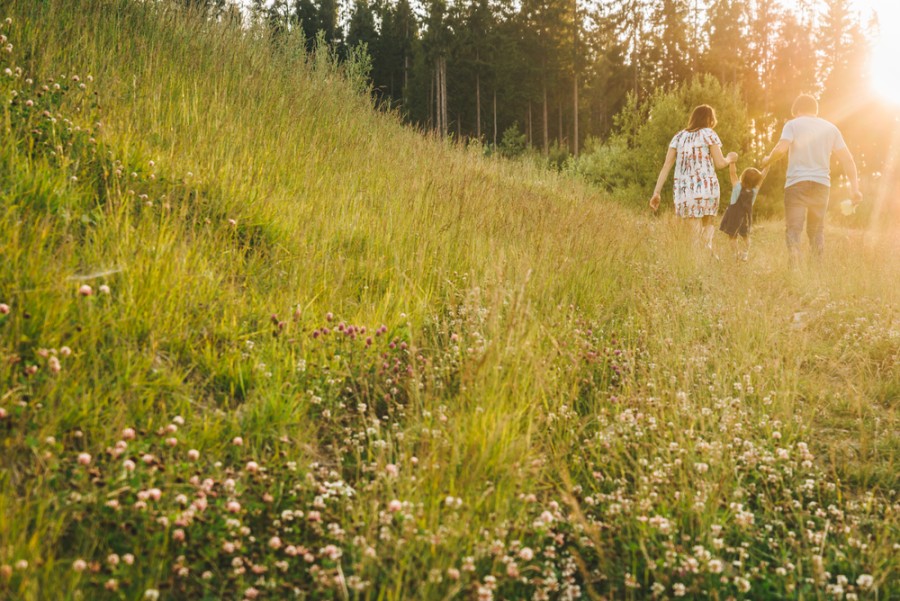 Beste vakantie bestemming om de natuur te ontdekken